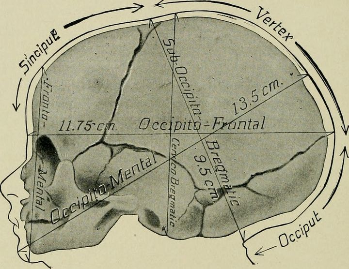 Как предлежание может влиять на ход родов, от чего оно может зависеть и как на него влиять